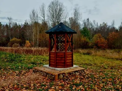 Ольга Антонова - отзыв 11516
