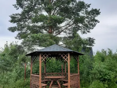 Наталья Ерофеева - отзыв 11770