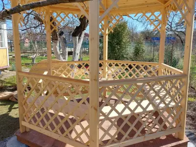 Сова - отзыв 11738