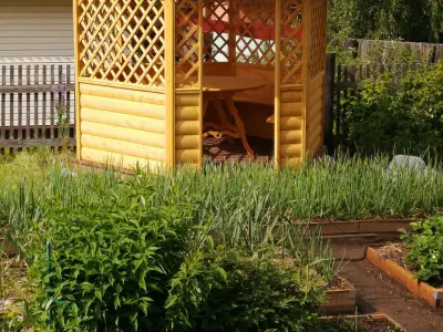 Любовь Бросова - отзыв 11906