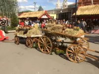 Колесо для телеги из дерева D-90 см