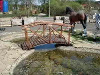 Мостик деревянный декоративный 110х250х140