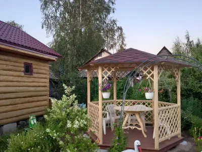 Светлана Павлова - отзыв 11767