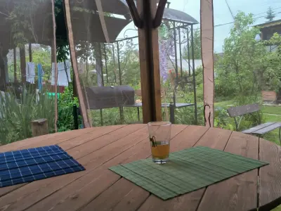 Елена Прусова - отзыв 12109