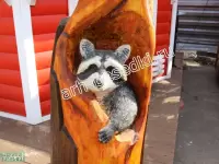 Деревянная скульптура "Сова с Енотом"